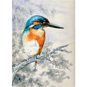 Elaine Franks Artwork - Teifi Kingfisher' - Signed Limited Edition Print